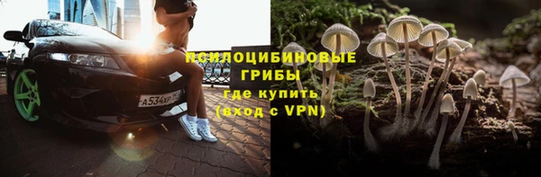 прущий лед Дмитров