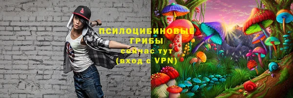 прущий лед Елизово
