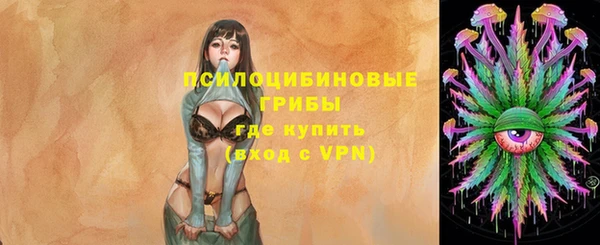 прущий лед Елизово