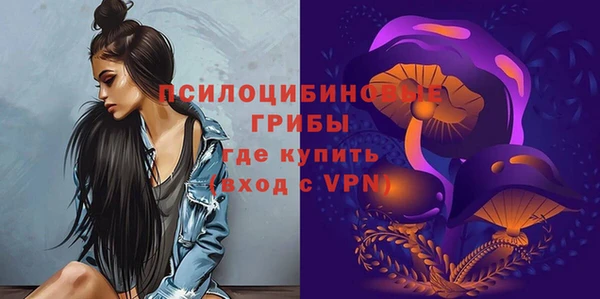 хмурый Дмитровск