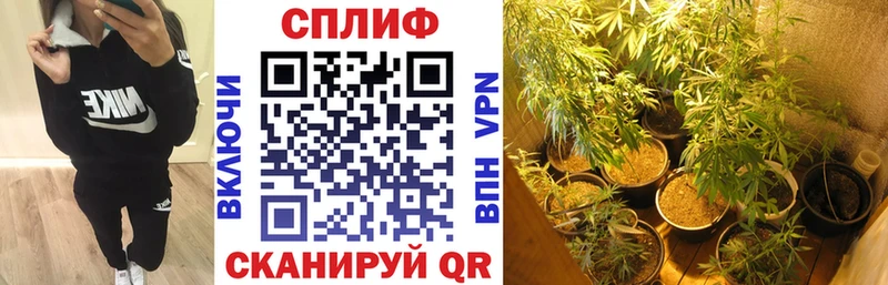 это официальный сайт  Заозёрск  Конопля семена  кракен рабочий сайт 